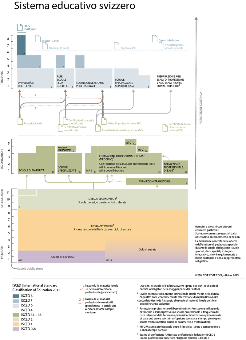 Grafico del sistema educativo